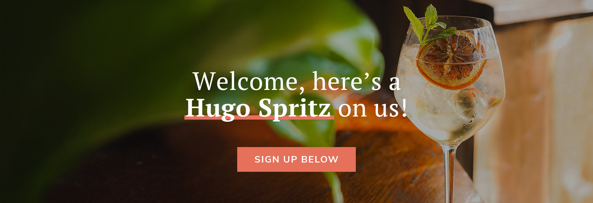 Sign up to the newsletter at The Hope & Bear