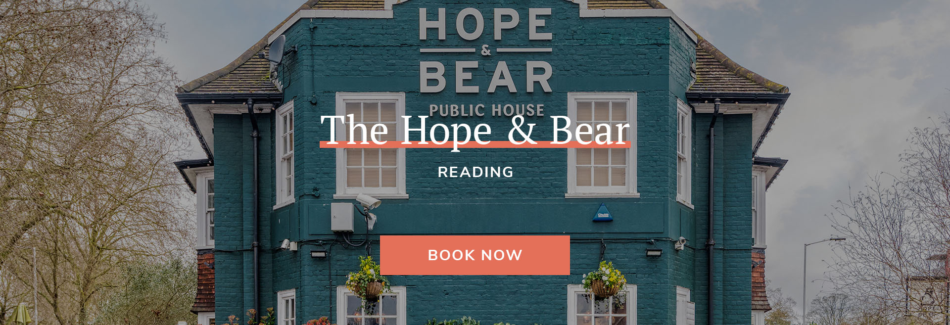 The Hope & Bear Banner 1